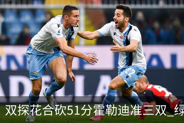 双探花合砍51分霍勒迪准三双 绿衫军轻取篮网